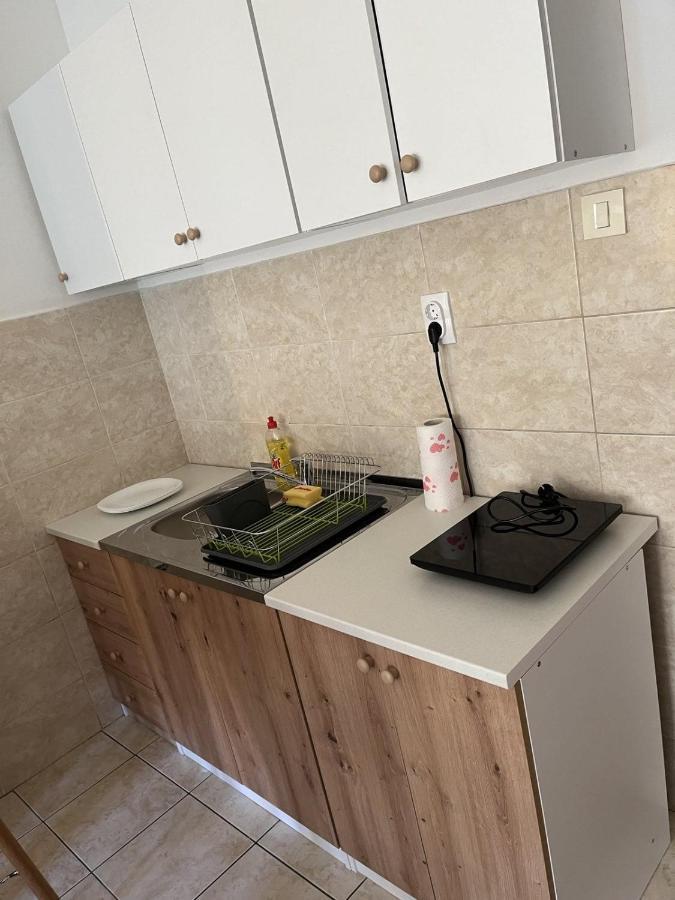 נובי סאד Vert Cozy Apartment Free Parking מראה חיצוני תמונה